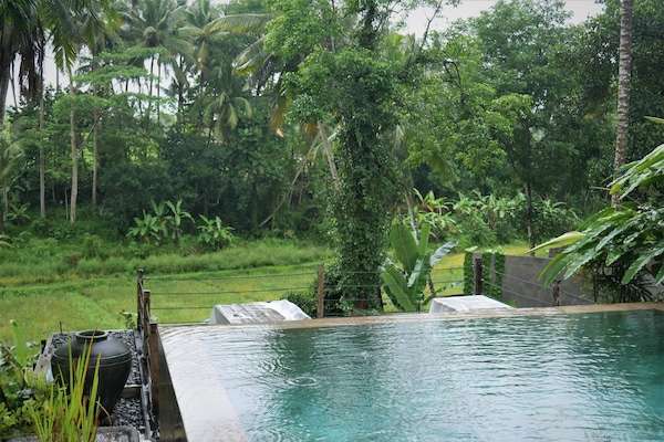 Room | Free minibar items, in-room safe, desk, iron/ironing board