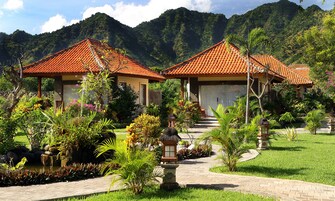 Vista desde la habitación