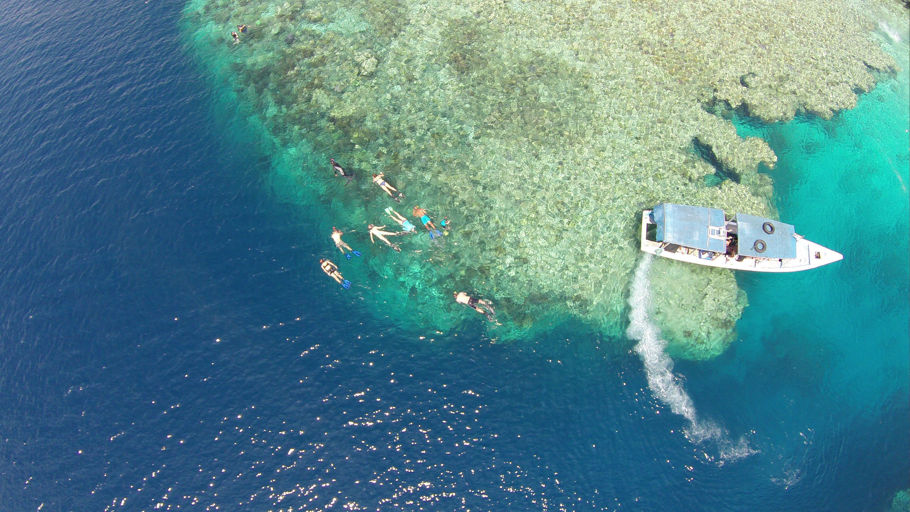 Vista aérea de una zona costera con aguas cristalinas, un barco y varias personas nadando o haciendo snorkel.