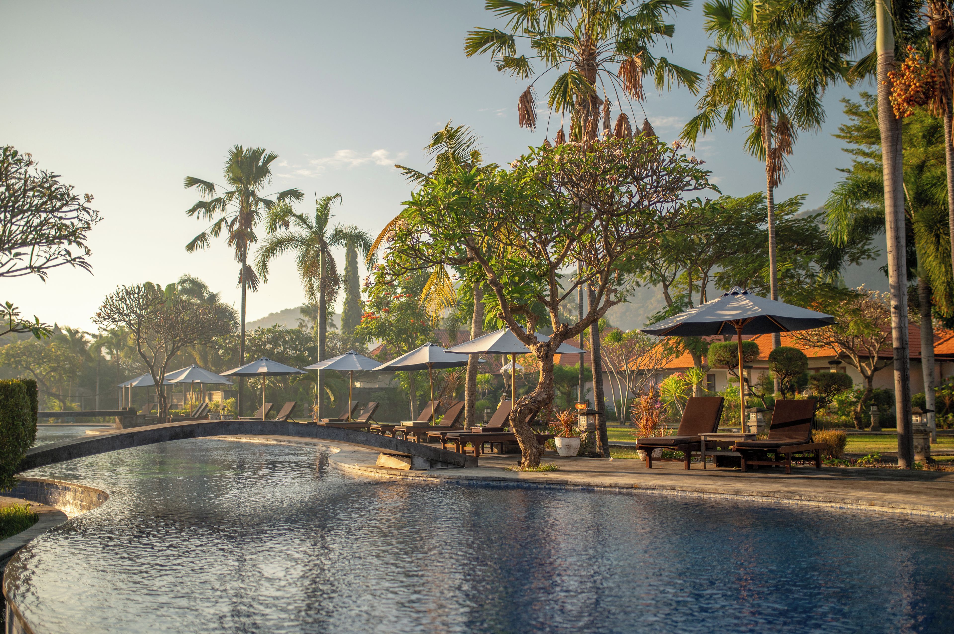 A pool area with lounge chairs and umbrellas, surrounded by palm trees and a bridge.