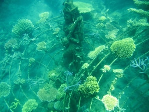 Objek wisata