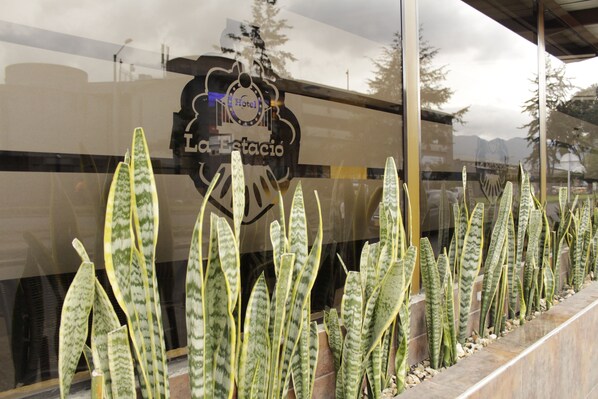A hotel window with a logo and a row of green striped plants in front. - Ayenda 1087 La Estación (Bogotá)