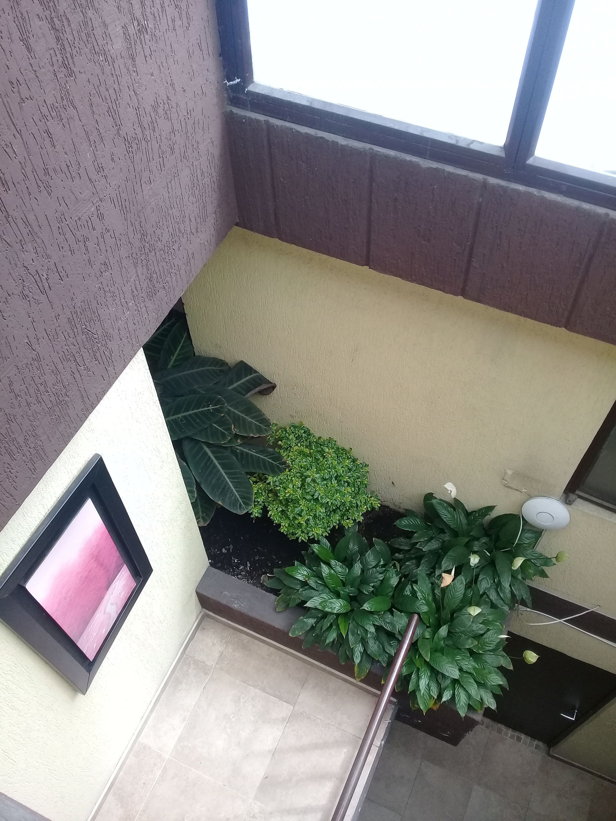 Foto - Ayenda 1087 La Estacion