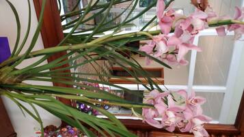 Detalle interior