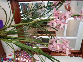 Detalle del interior