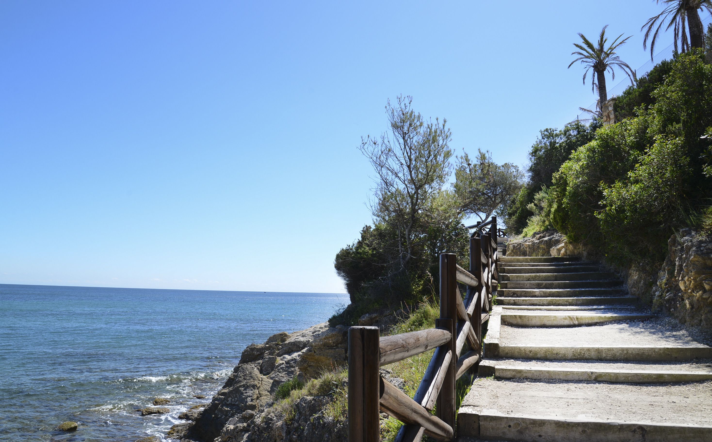 A coastal staircase leading to a cliff overlooking the sea, surrounded by greenery and palm trees.