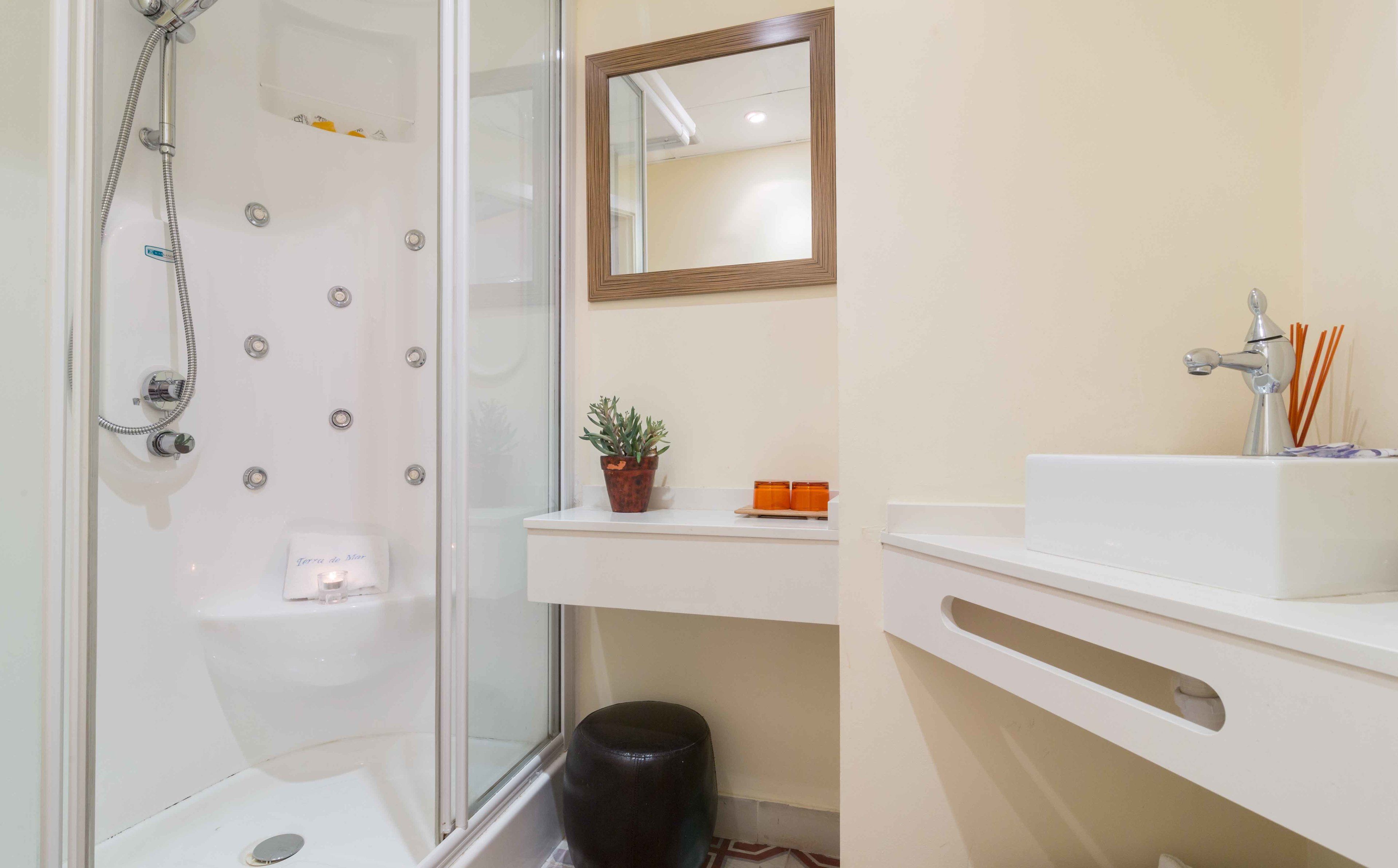 Un baño con ducha de vidrio, lavamanos blanco, espejo y planta en maceta.