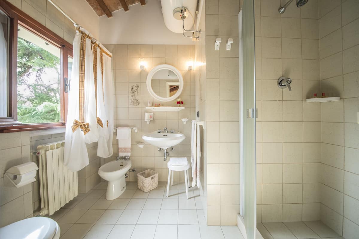 shower, free toiletries, hair dryer, bidet