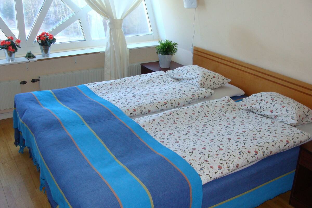 A room with two beds, a window with curtains, a radiator, and a small plant on a nightstand.