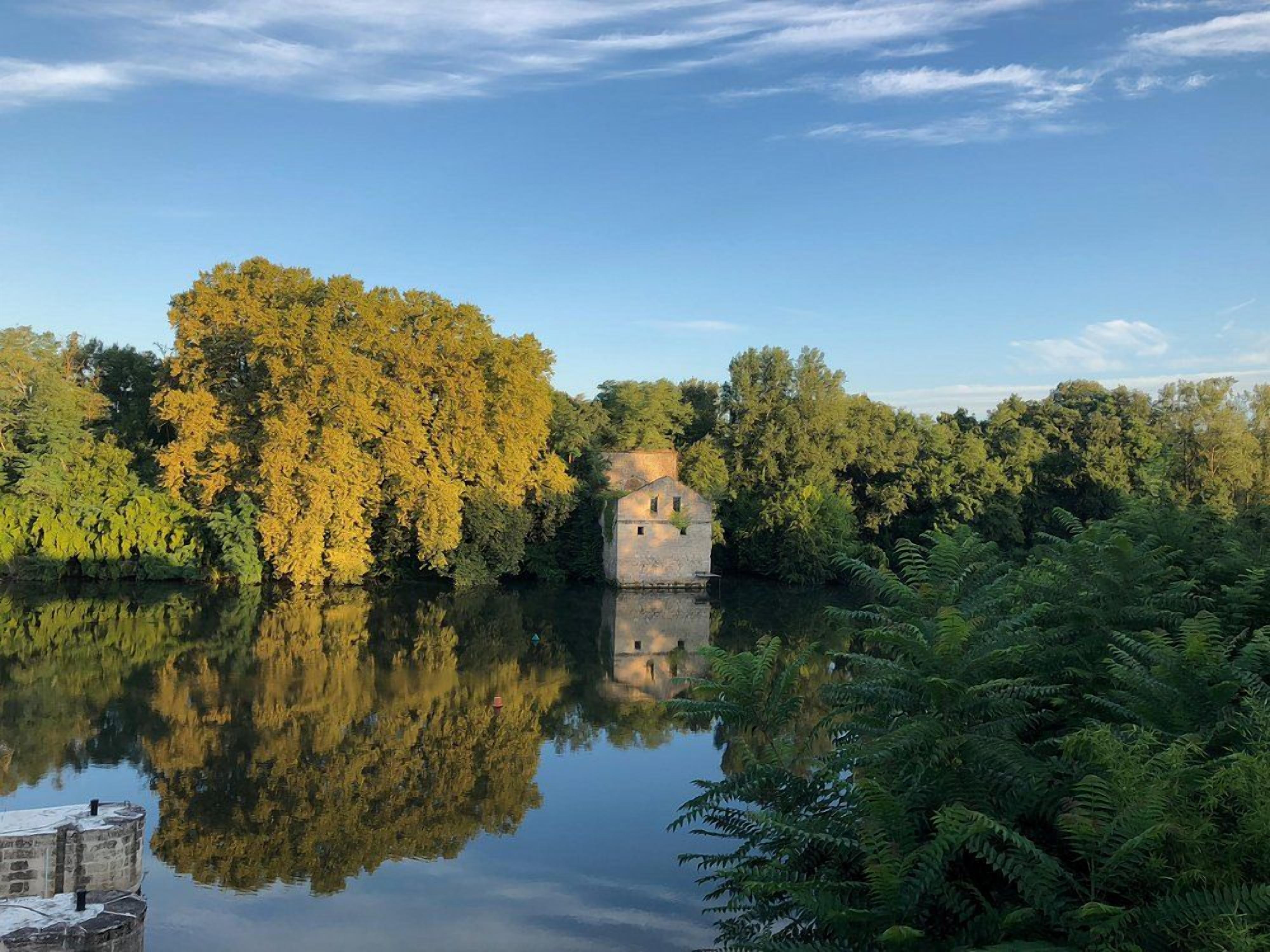 Una escena tranquila junto al lago, con un edificio de piedra rodeado de follaje denso y helechos.