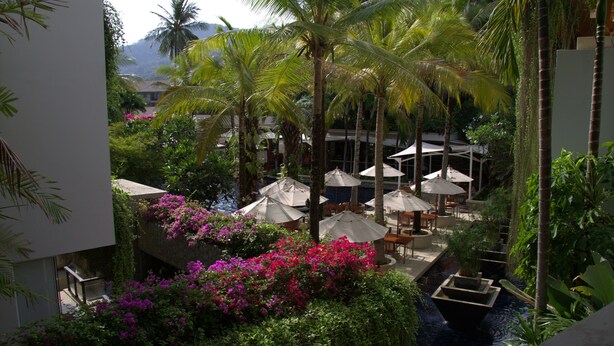 A resort with outdoor seating, palm trees, and a water feature.