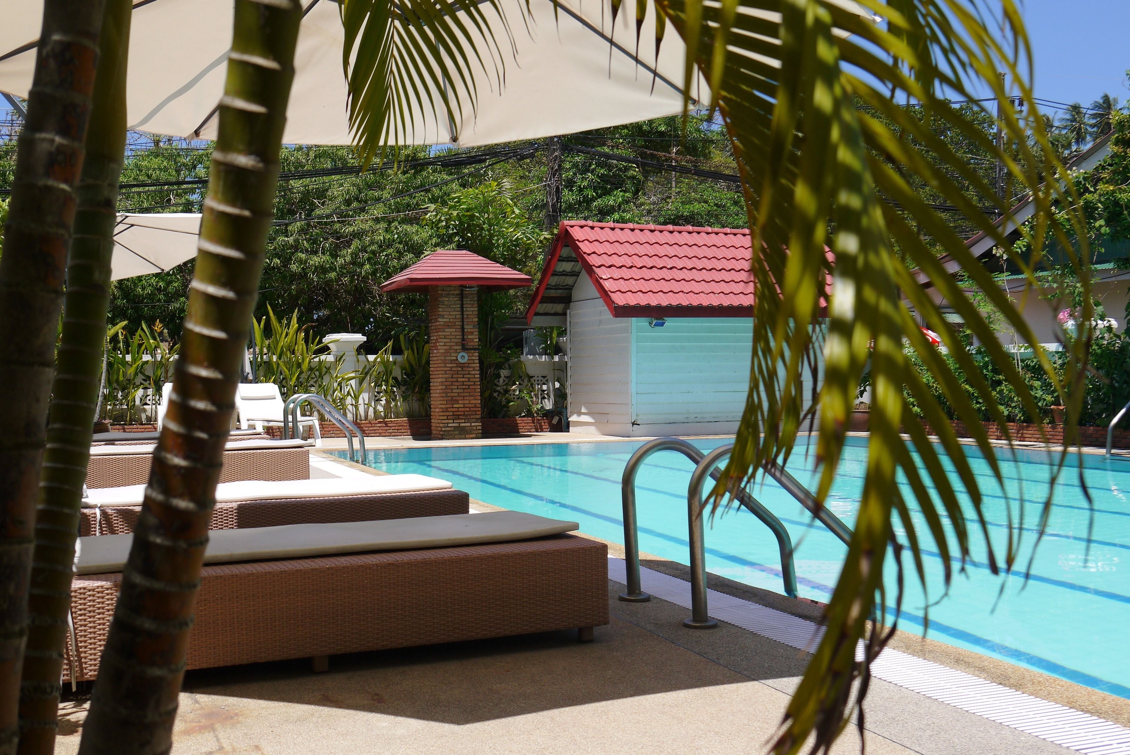 Piscine extérieure, parasols de plage, chaises longues