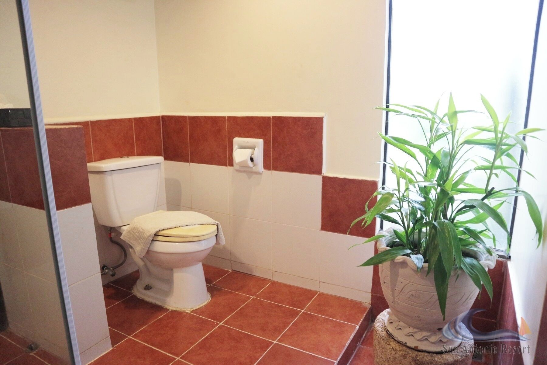 A bathroom with a toilet, a hand dryer, and a potted plant.