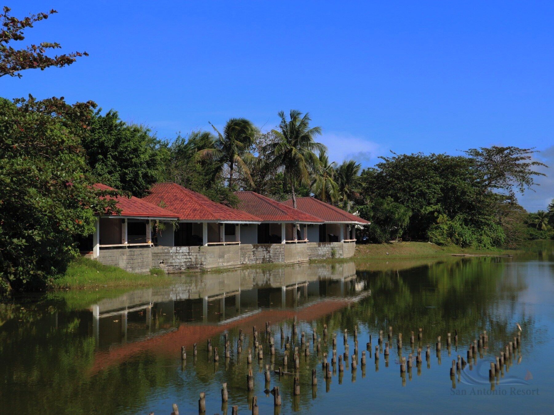 A row of two-story buildings with red roofs, situated beside a calm body of water, surrounded by lush greenery and palm trees.