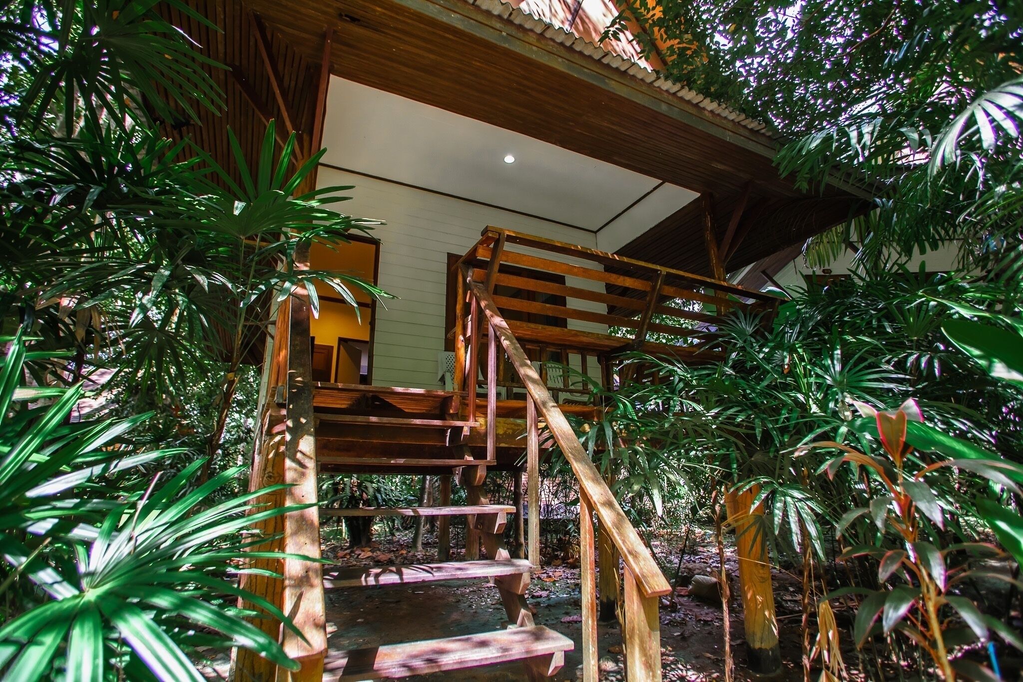 A wooden staircase leading to a covered area surrounded by lush greenery.