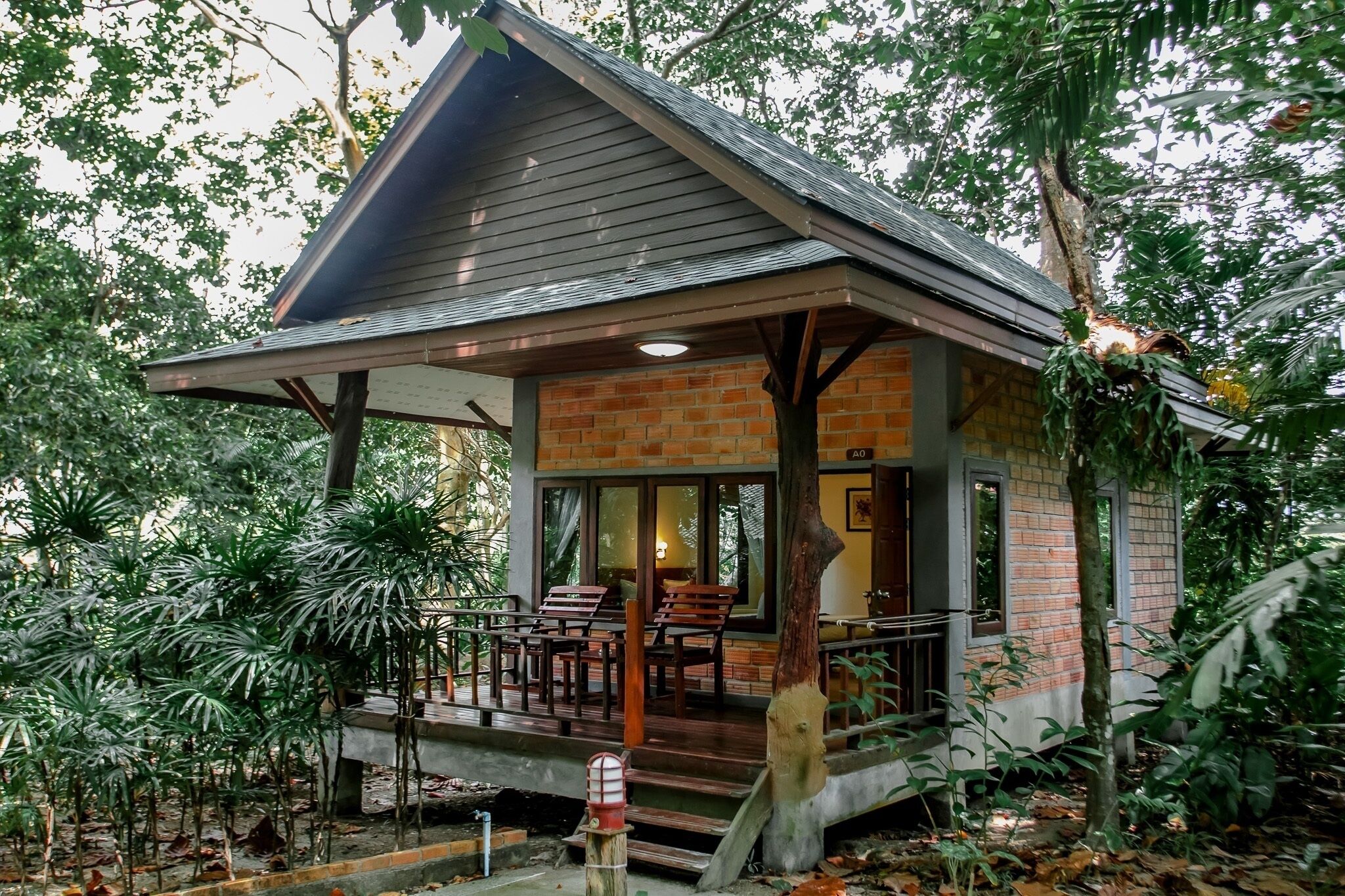 Quang cảnh từ phòng