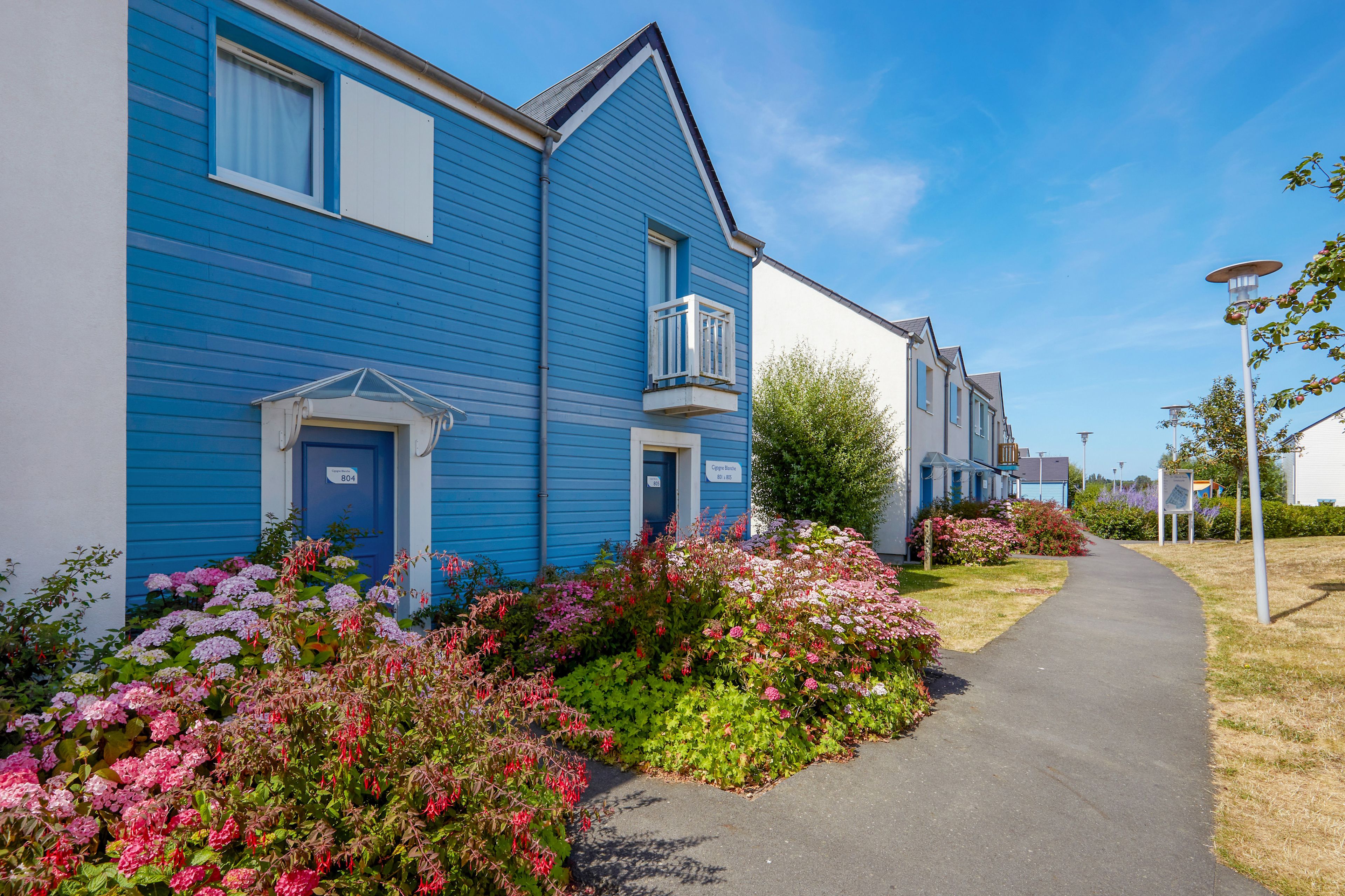 A row of blue buildings with a pathway and flower beds.