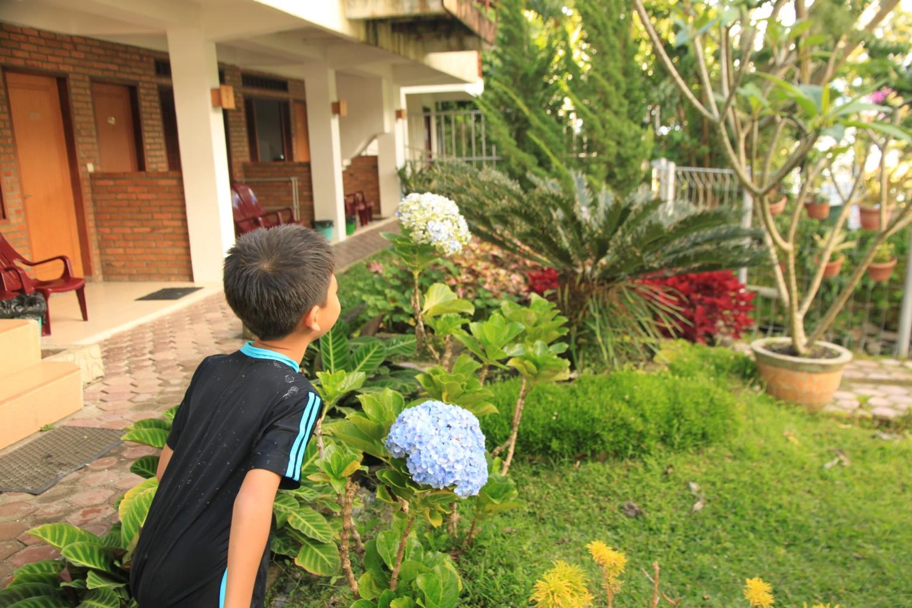 Un niño de pie en un jardín con diversas plantas y flores, incluyendo hortensias.