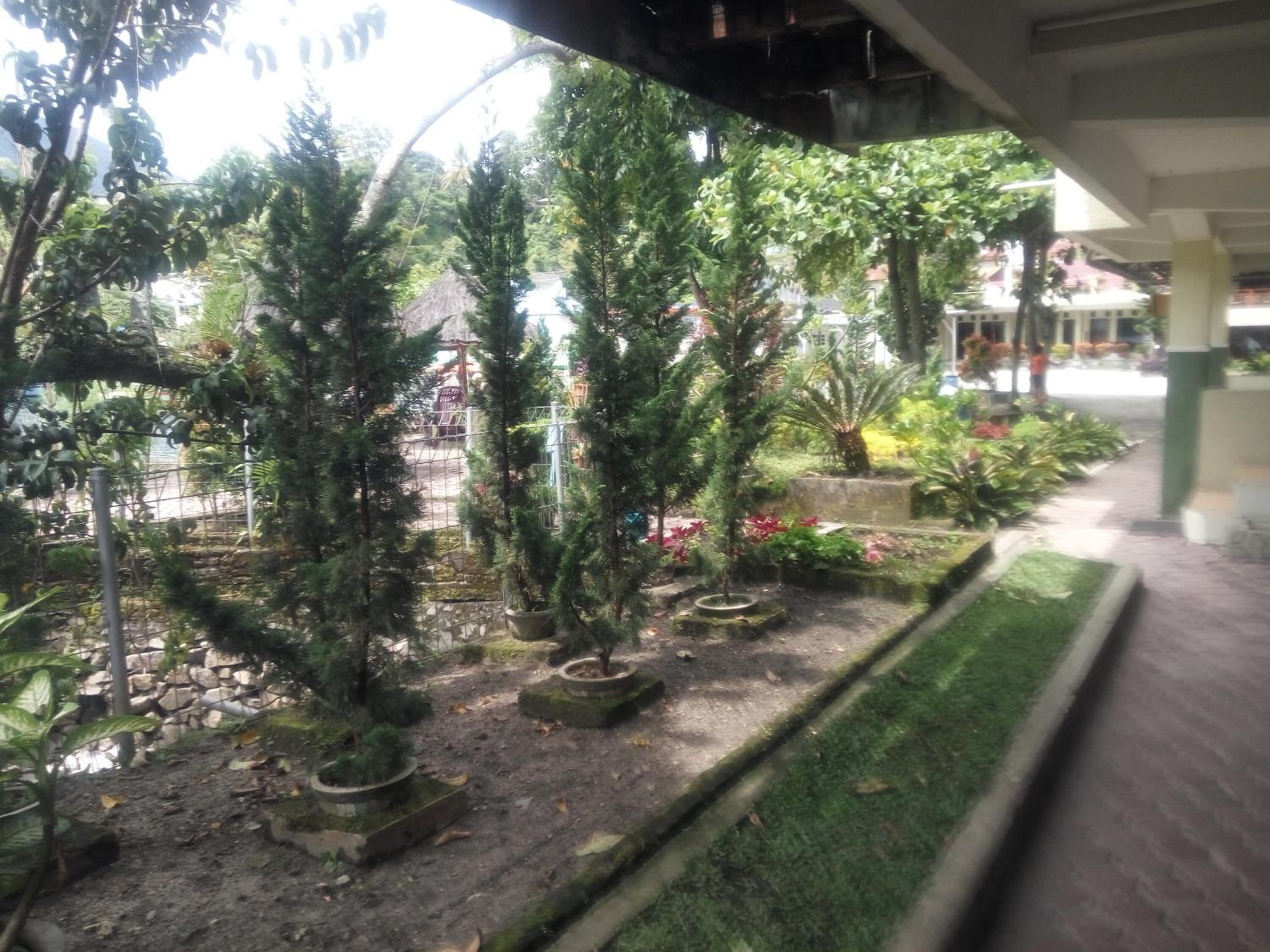 A garden with various potted plants and trees, a stone pathway, and a building in the background.