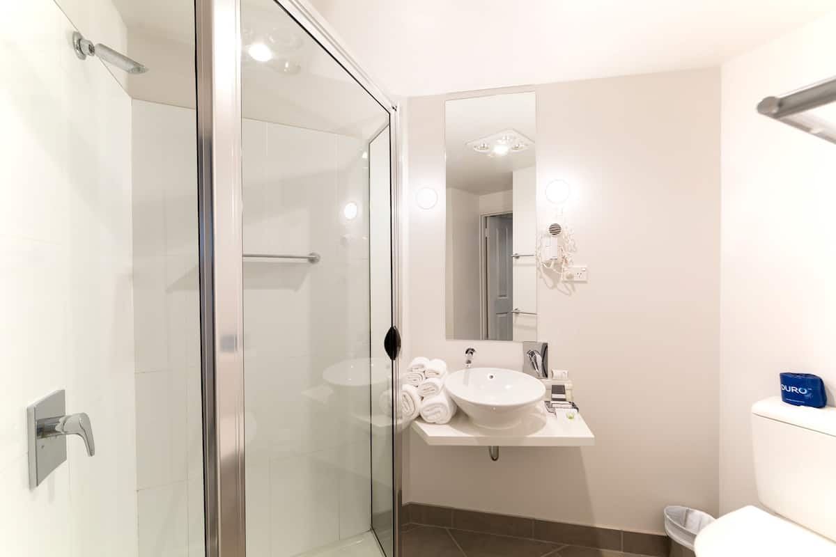 shower, free toiletries, hair dryer, towels