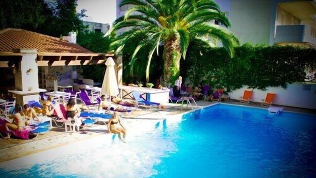 Una piscina con sillas de descanso y una palmera.