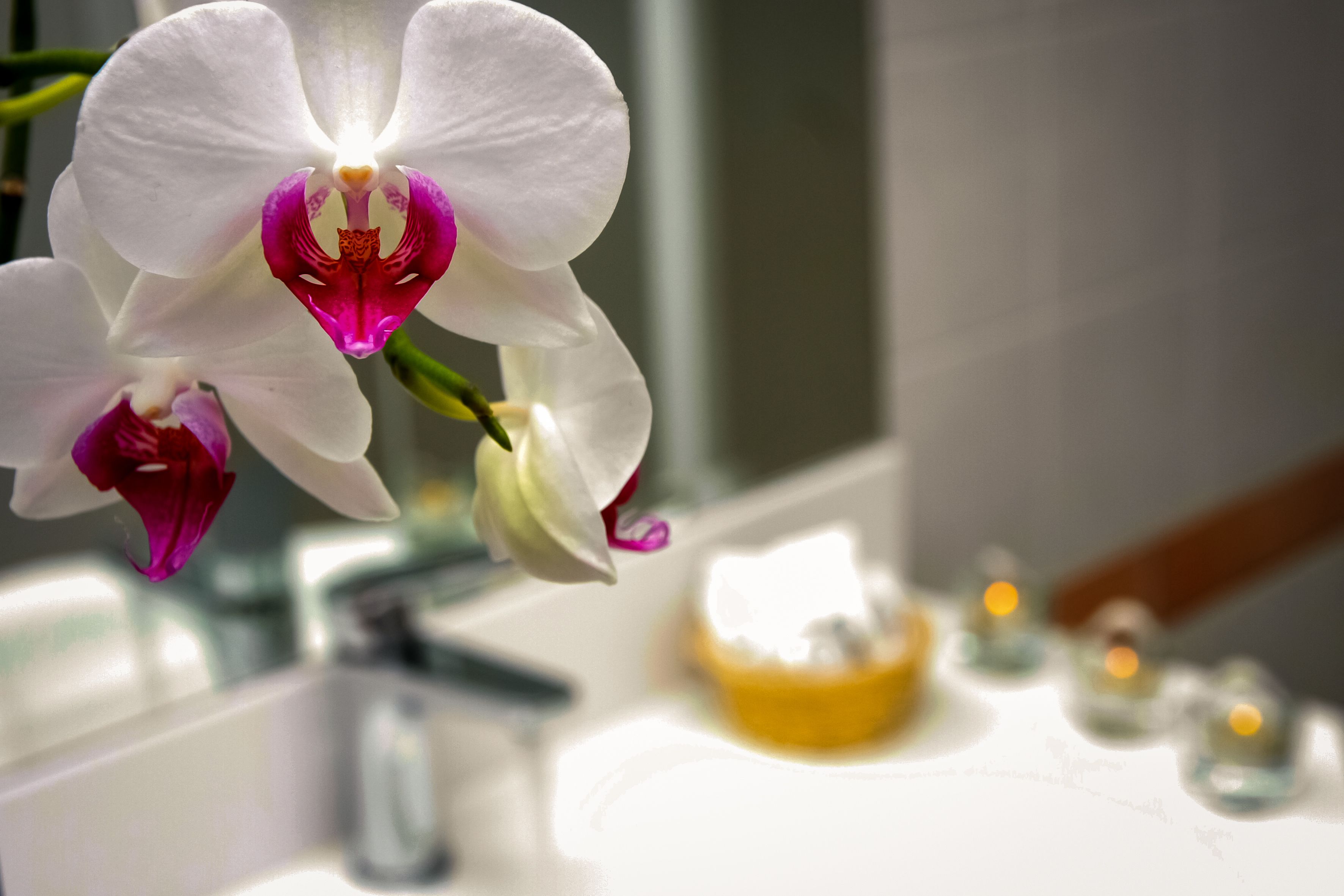 family room, balcony | 1 bedroom, in-room safe, desk, iron/ironing board