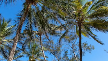 Am Strand, Strandtücher