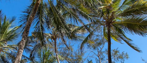 Na praia, toalhas de praia 