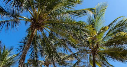 Turtle Bay Beach Club