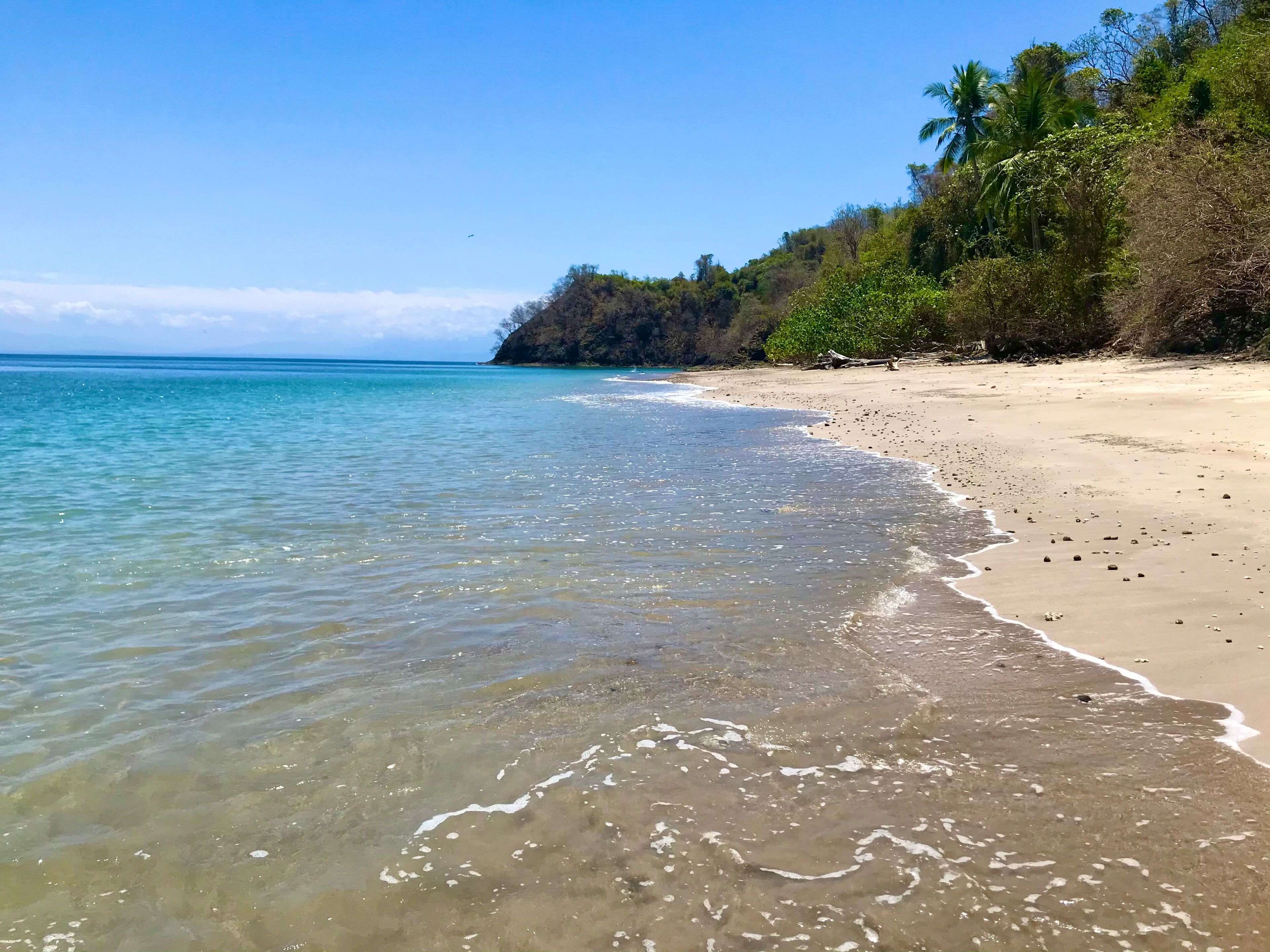 A beach with clear water, a sandy shore, and a forested hill in the background.