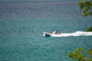 Boating - El Sano Banano Beachside Hotel (Cóbano)