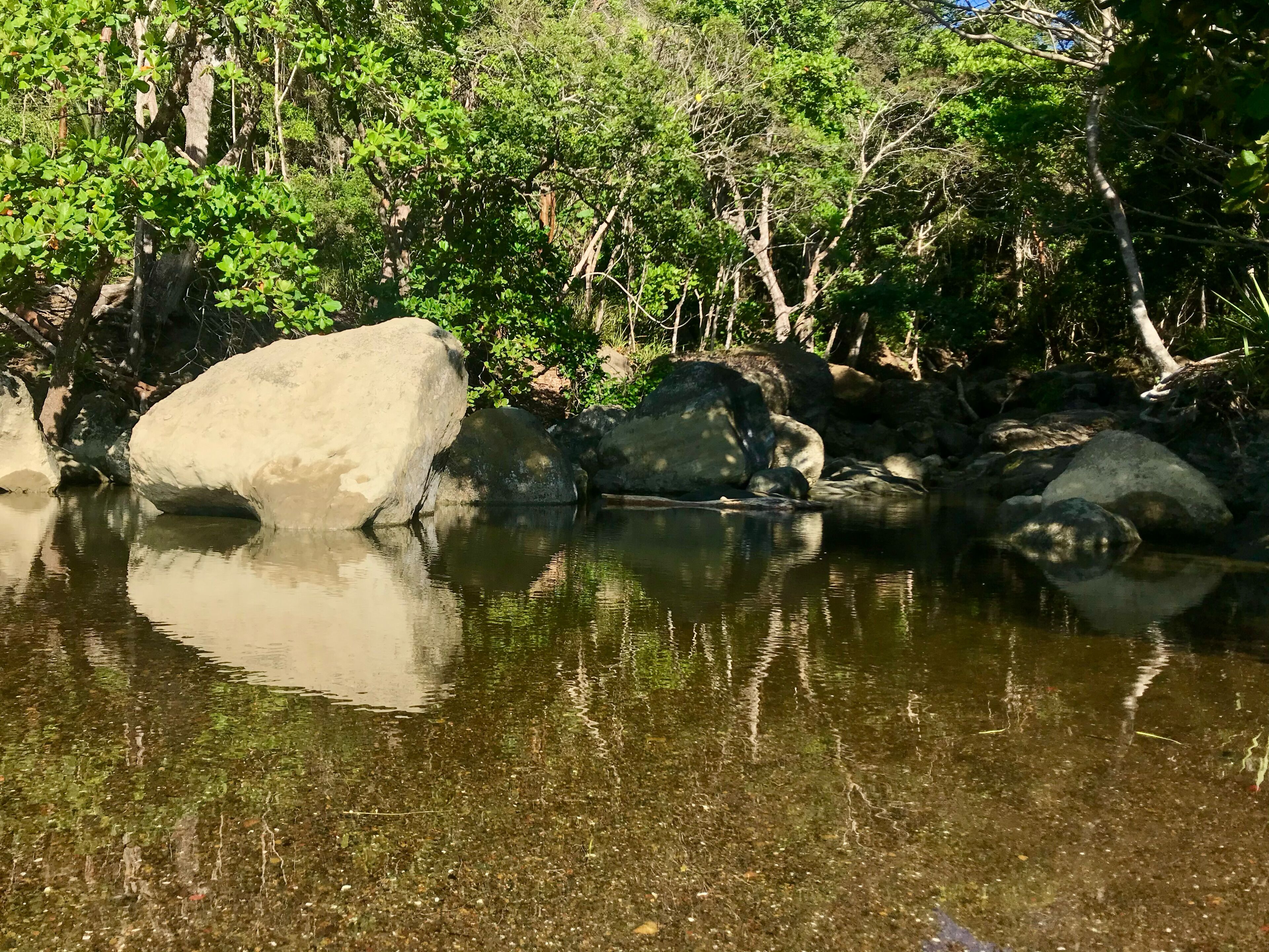 A natural landscape with a calm body of water, large rocks, and dense greenery.