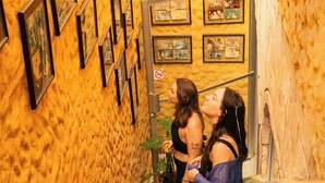 A staircase with a textured wall, framed pictures, and a potted plant. - El Sano Banano Beachside Hotel (Cóbano)