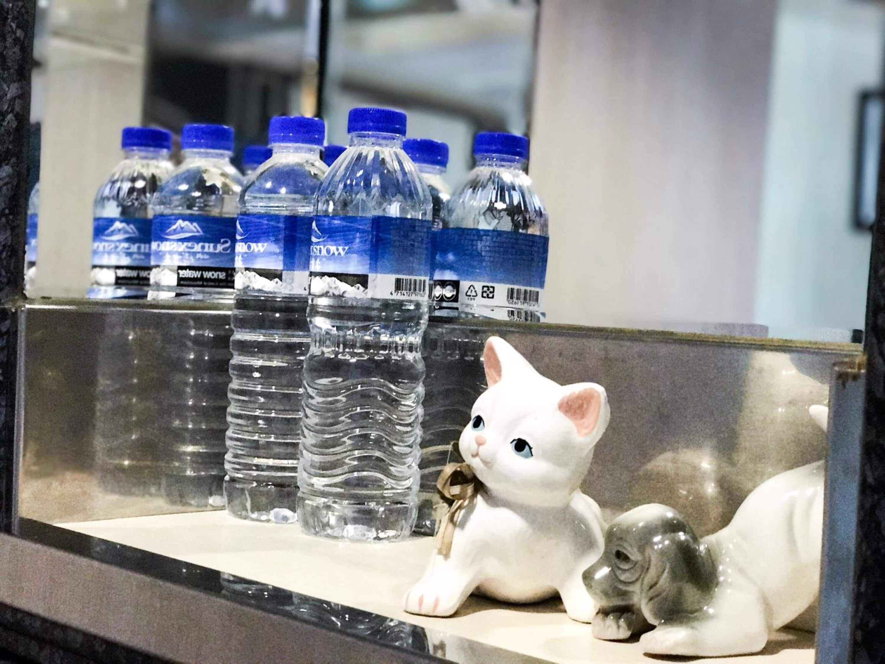 Une salle de bain avec un lavabo, un miroir et une étagère sur laquelle se trouvent des bouteilles d’eau et une statuette de chat blanc.