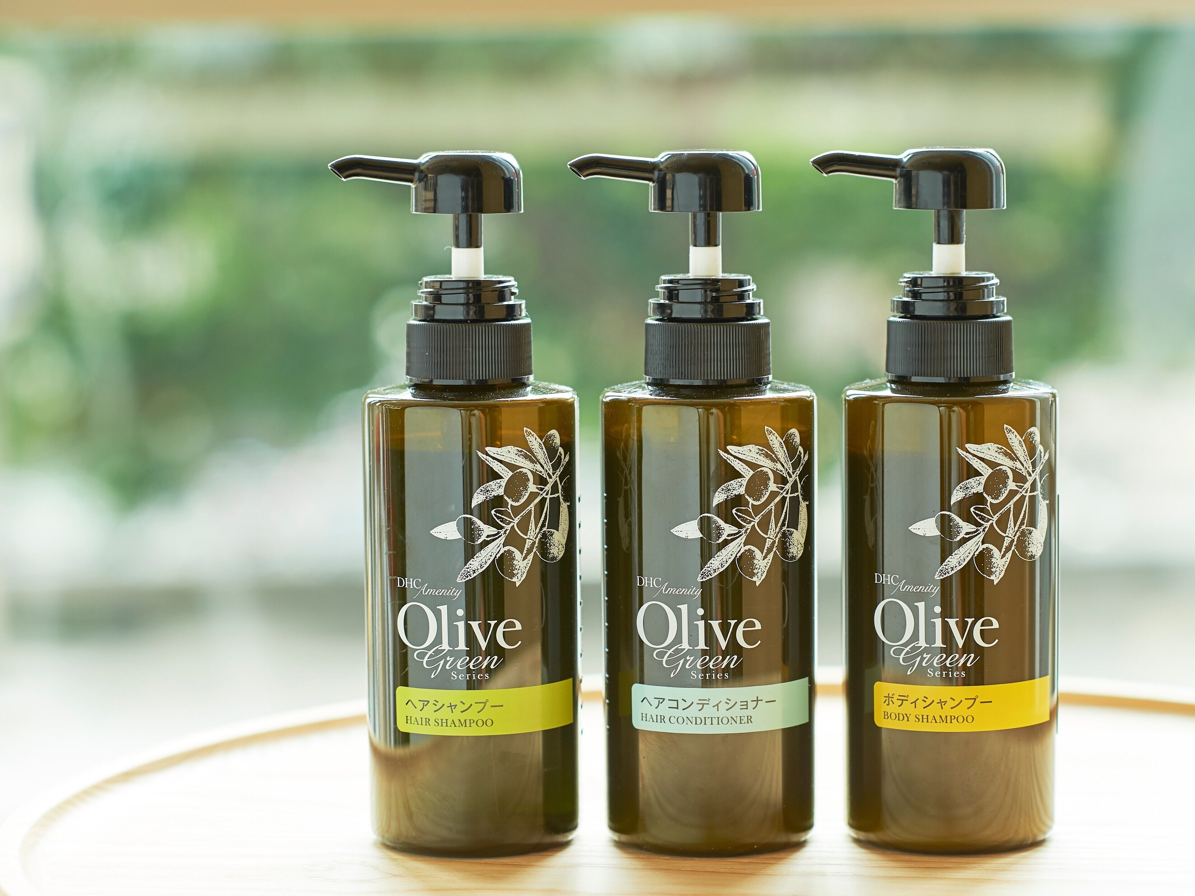 combined shower/bathtub, hair dryer, slippers, electronic bidet