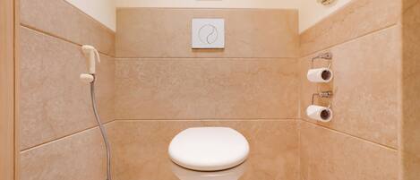 A small bathroom with a toilet, a shower, and a toilet paper holder.