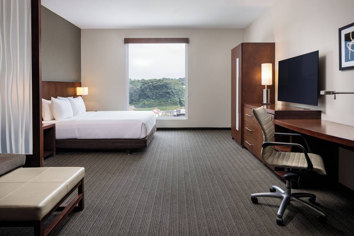 Habitación de hotel con cama, escritorio con silla, televisión y ventana con vista a zonas verdes.