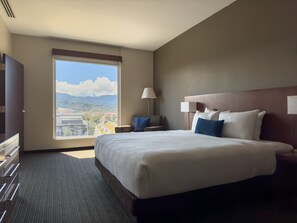 Standard Room, 1 King Bed | View from room