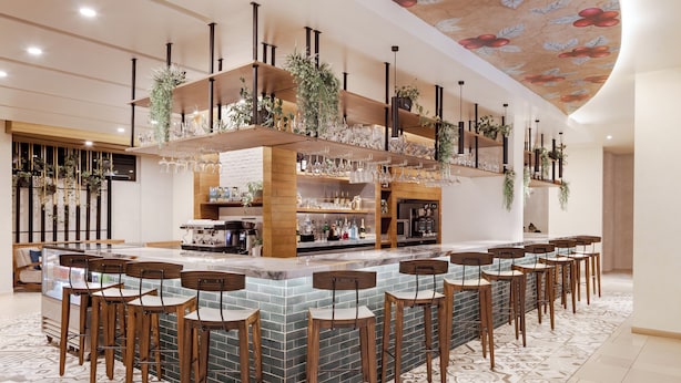 A bar area with multiple stools, shelves with glassware, and hanging plants.
