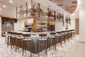 A bar area with multiple stools, shelves with glasses and bottles, and hanging plants.