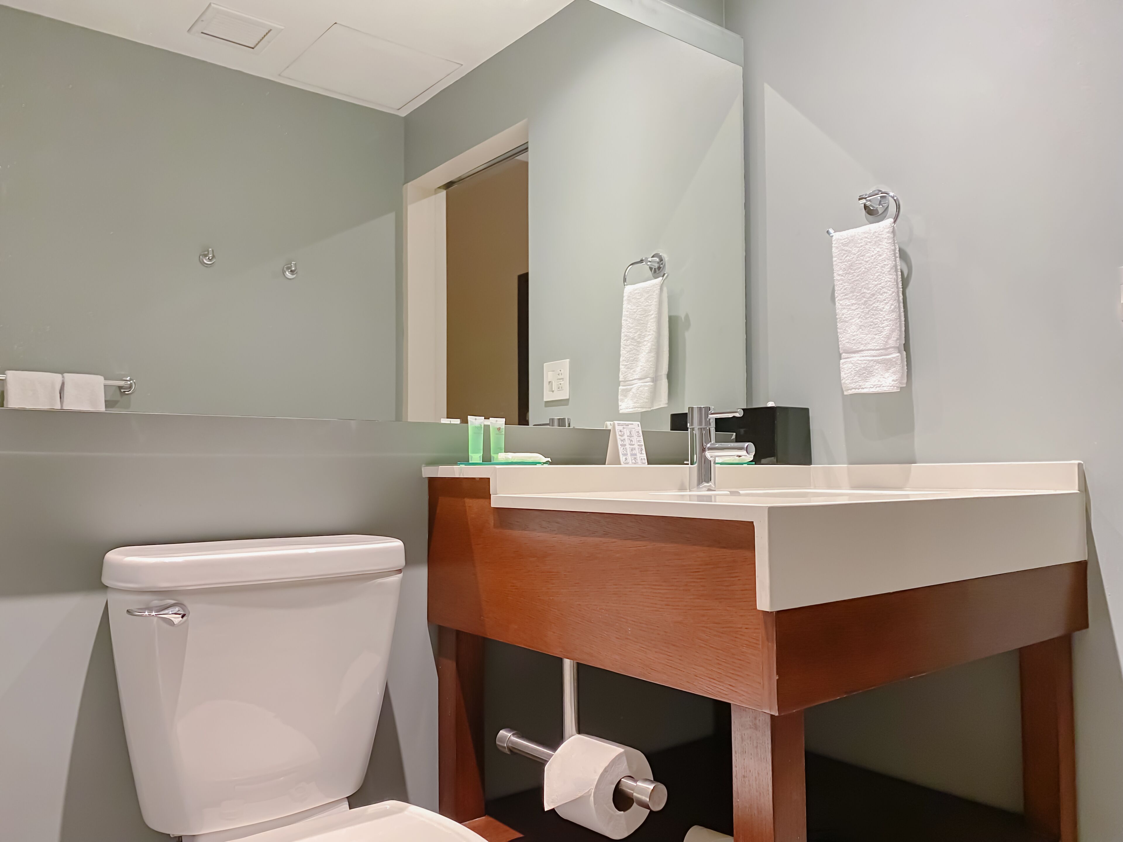 standard room, 1 king bed | bathroom | designer toiletries, hair dryer, towels