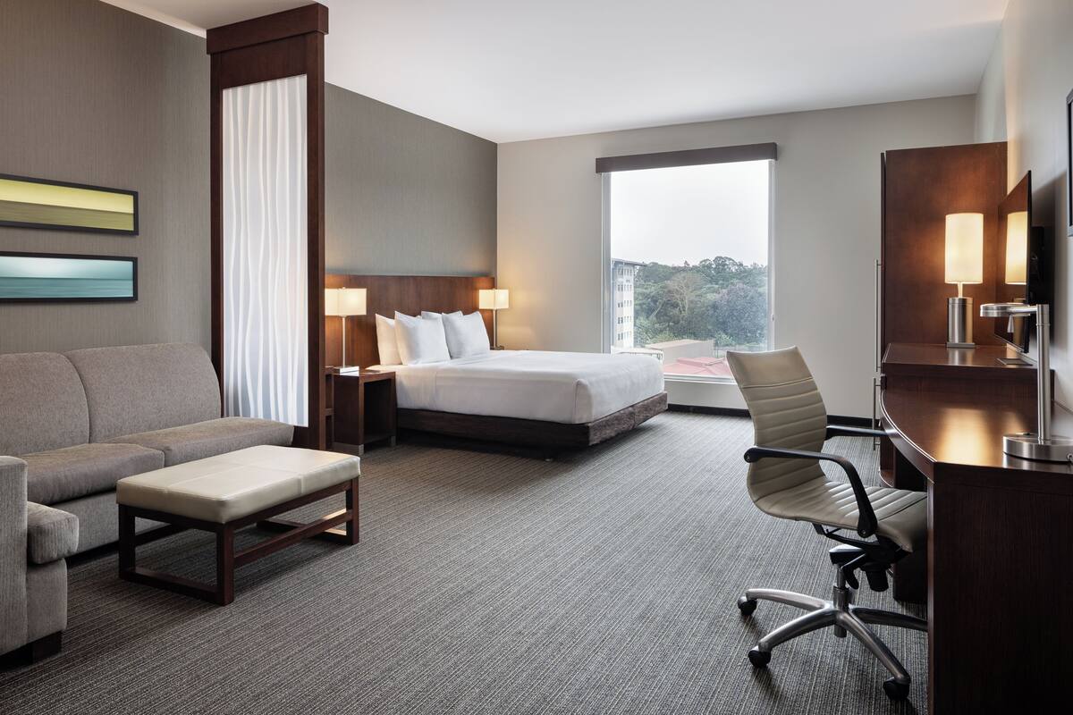 Una habitación de hotel con cama, escritorio, silla, sofá y ventana.