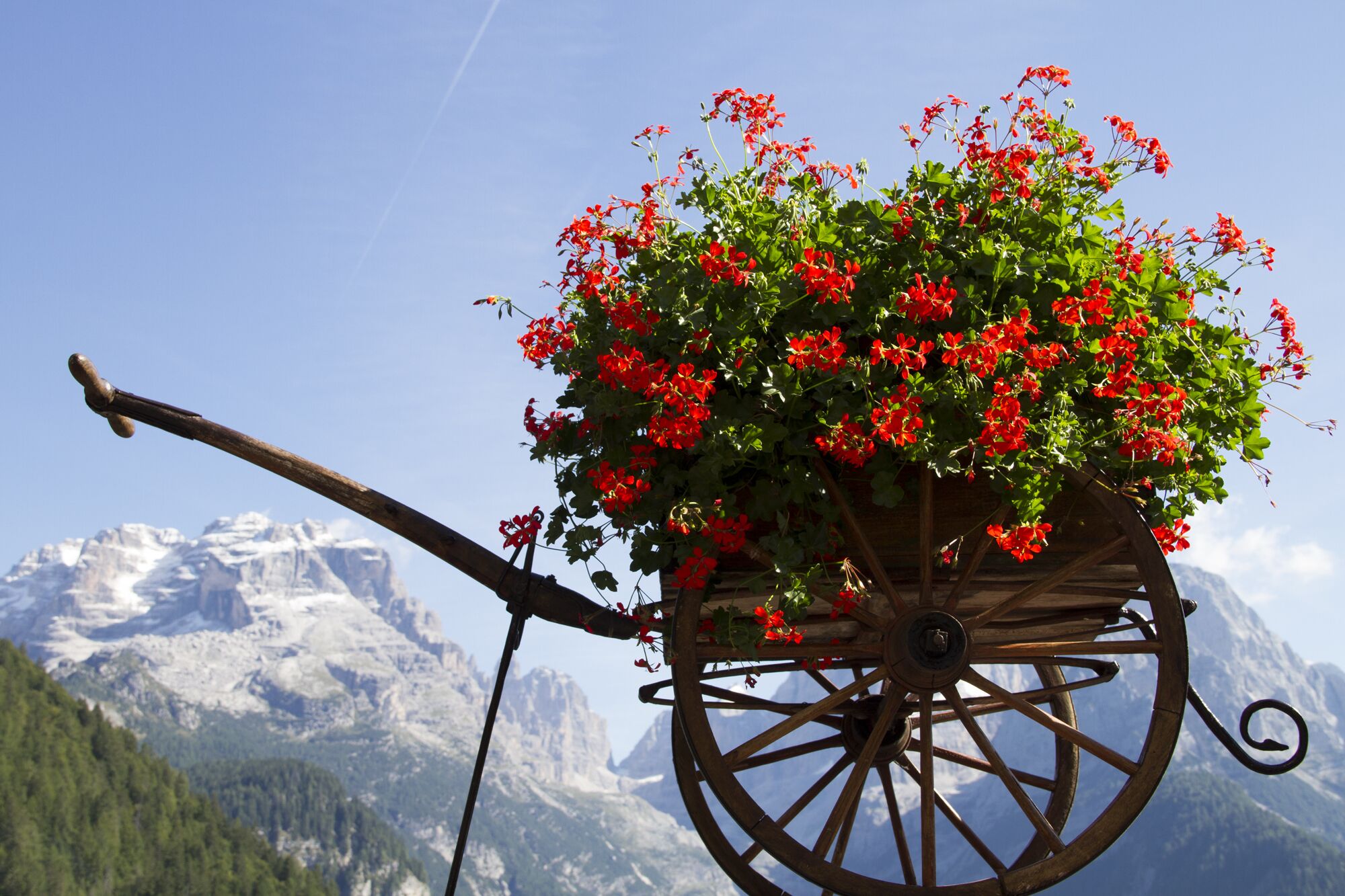 Een houten koets met rode bloemen voor een bergpanorama.