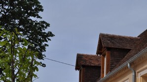Una hilera de edificios de estilo tradicional con un paseo techado y pequeños árboles.