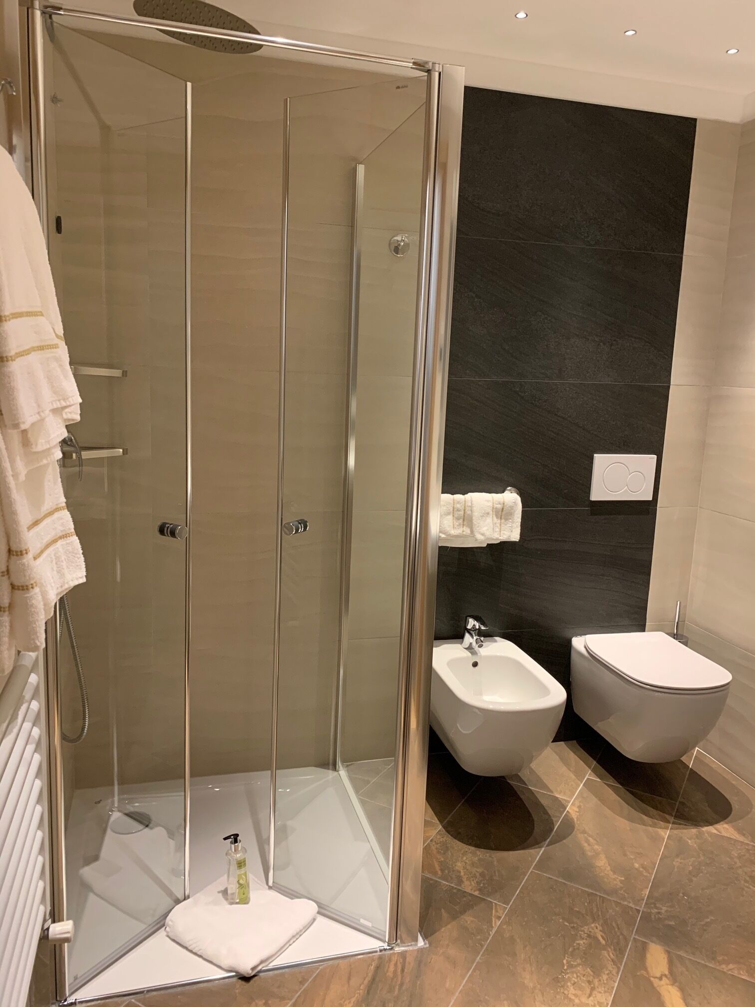 family room | bathroom | shower, rainfall showerhead, hair dryer, bidet