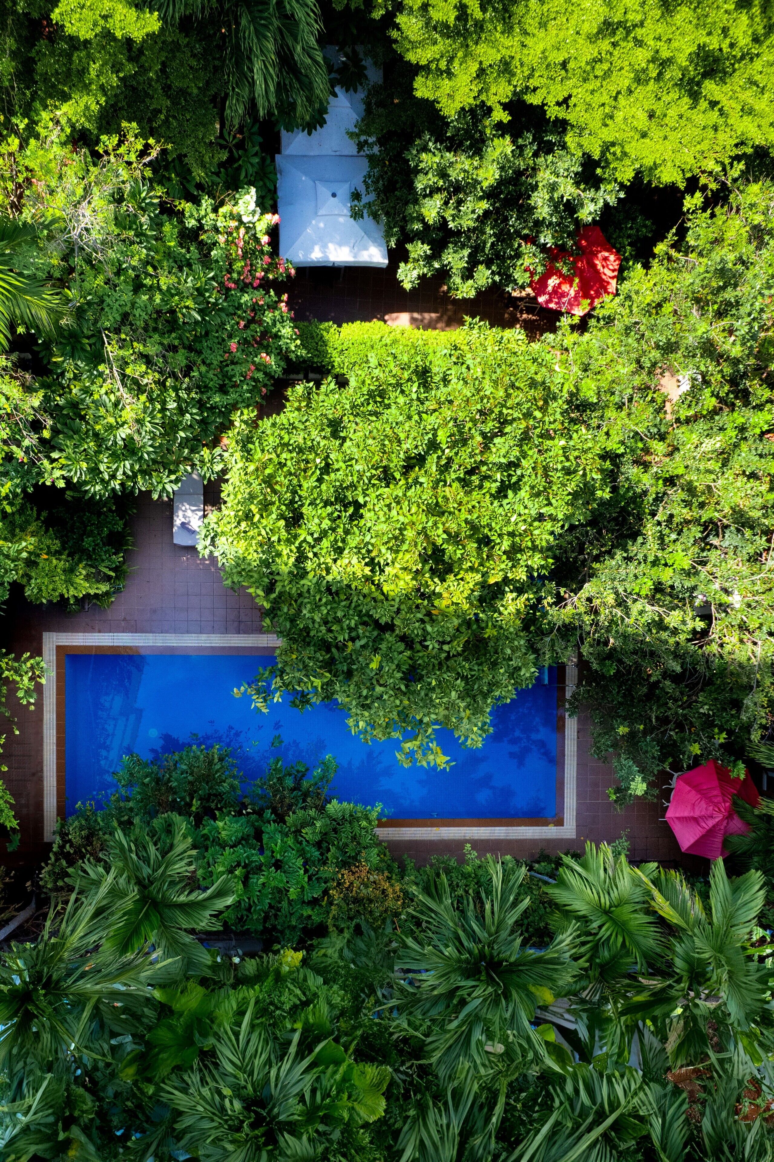 2 outdoor pools, free pool cabanas, pool umbrellas