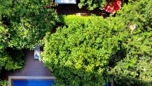 An aerial view of a rooftop pool surrounded by lush greenery and a white umbrella. - Skyline Boutique Hotel (Phnom Penh)