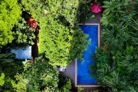 2 piscinas al aire libre, camas de piscina gratis, sombrillas