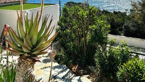 Un jardín con diversas plantas y vistas al océano.