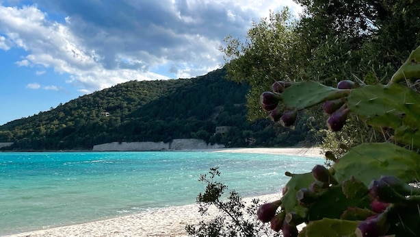 Una playa con agua turquesa cristalina, orilla de arena y una colina con árboles al fondo.